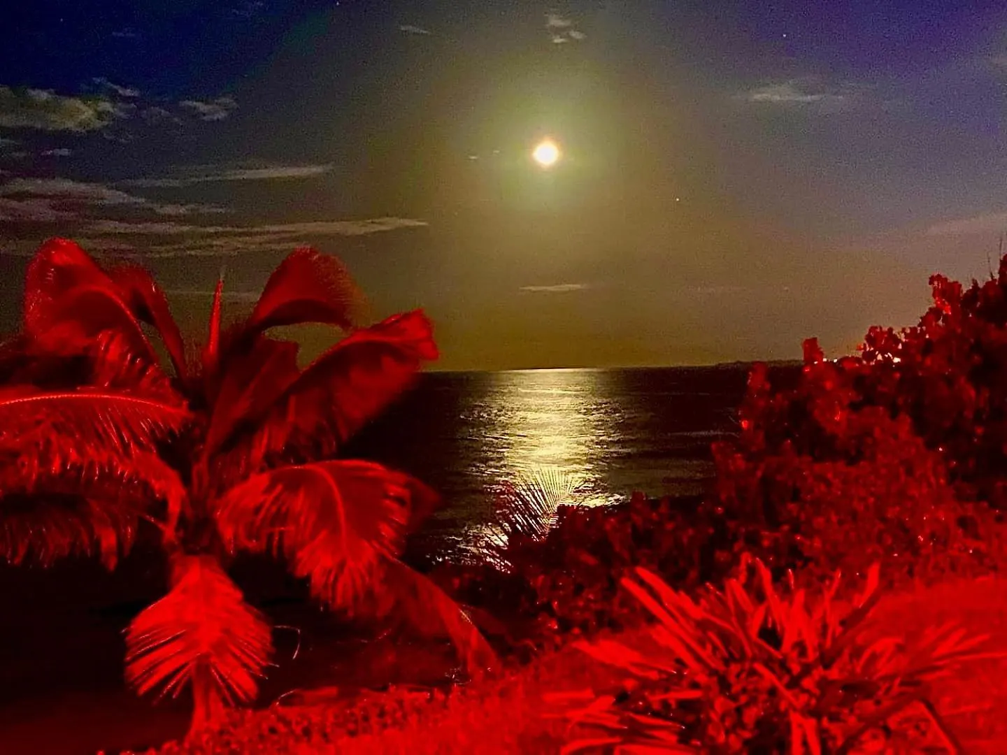 Ocean Front Apartments Arecibo